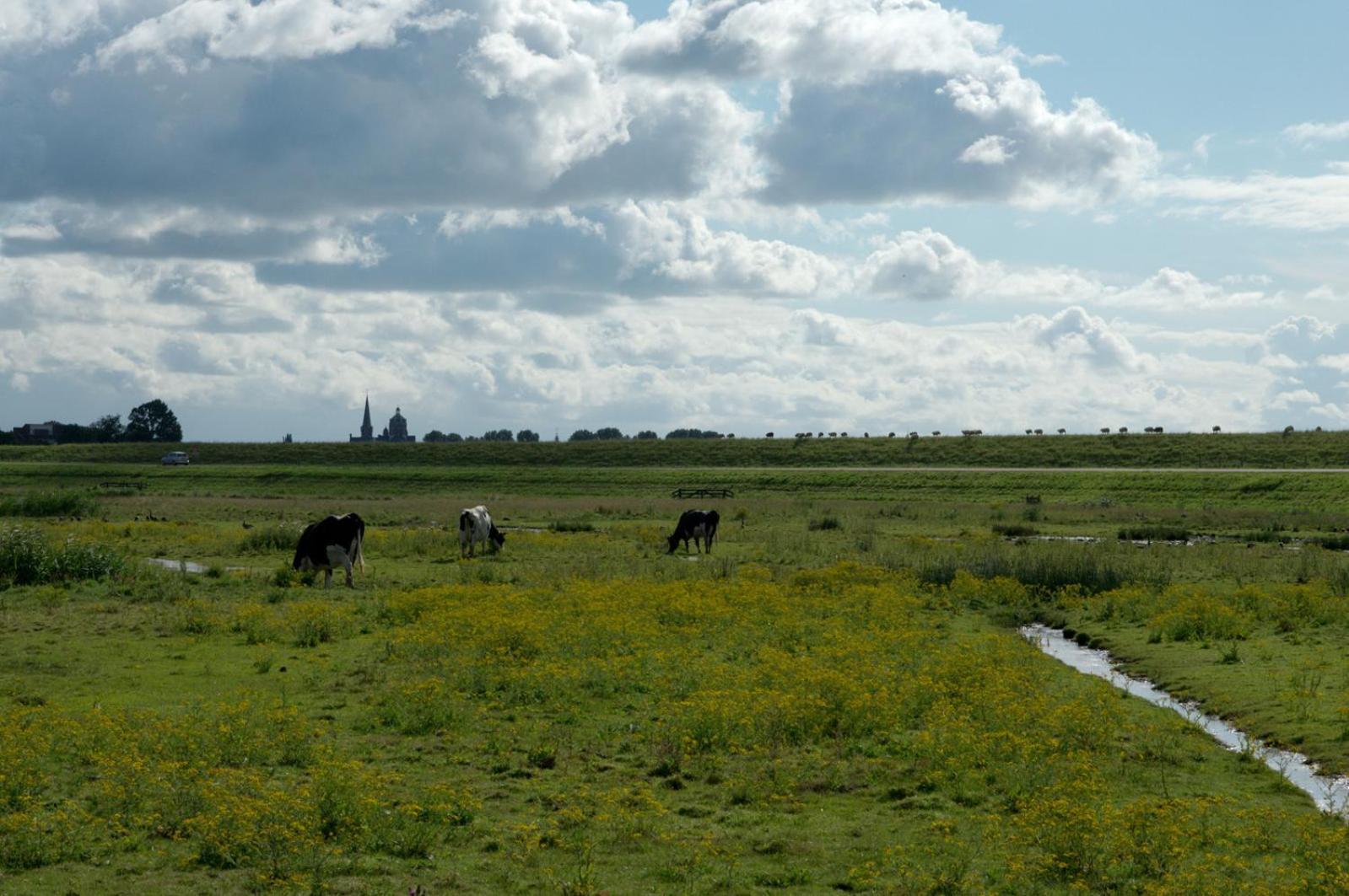 B&B Posthoorn Hoorn  Kültér fotó